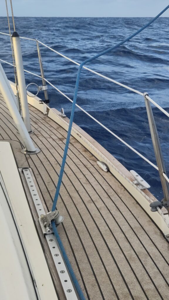 Yaw:272.9688,Pitch:-20.666375495632593,Roll:1.5958485370846405