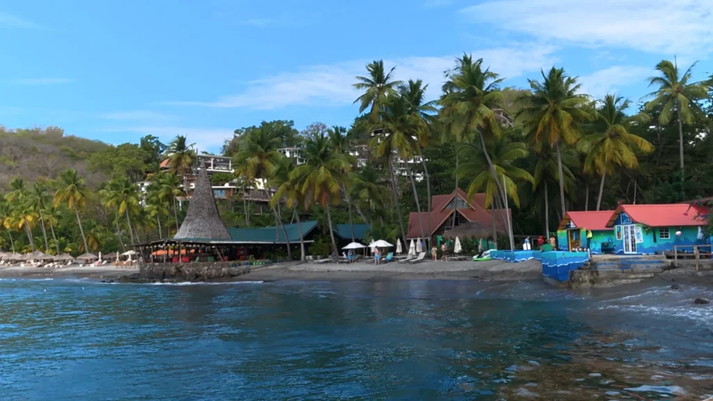 dji_mimo_20260209_152838_0_1770687571452_photo