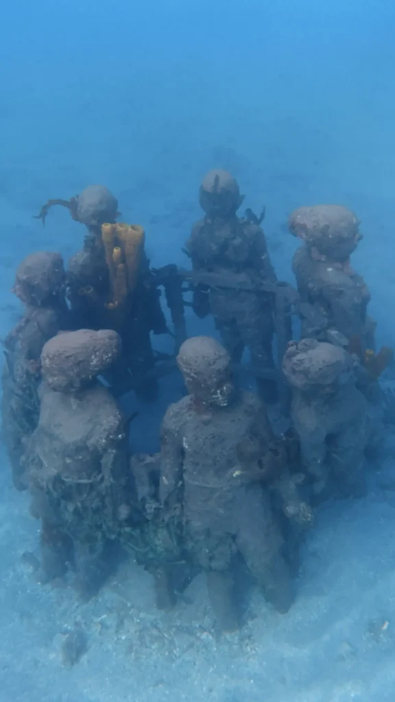 dji_mimo_20260402_171106_0_1775174744172_photo